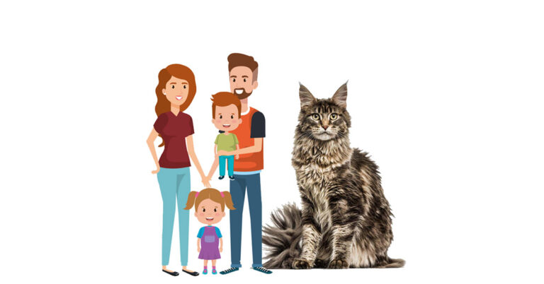 Are Maine Coon Cats Friendly?