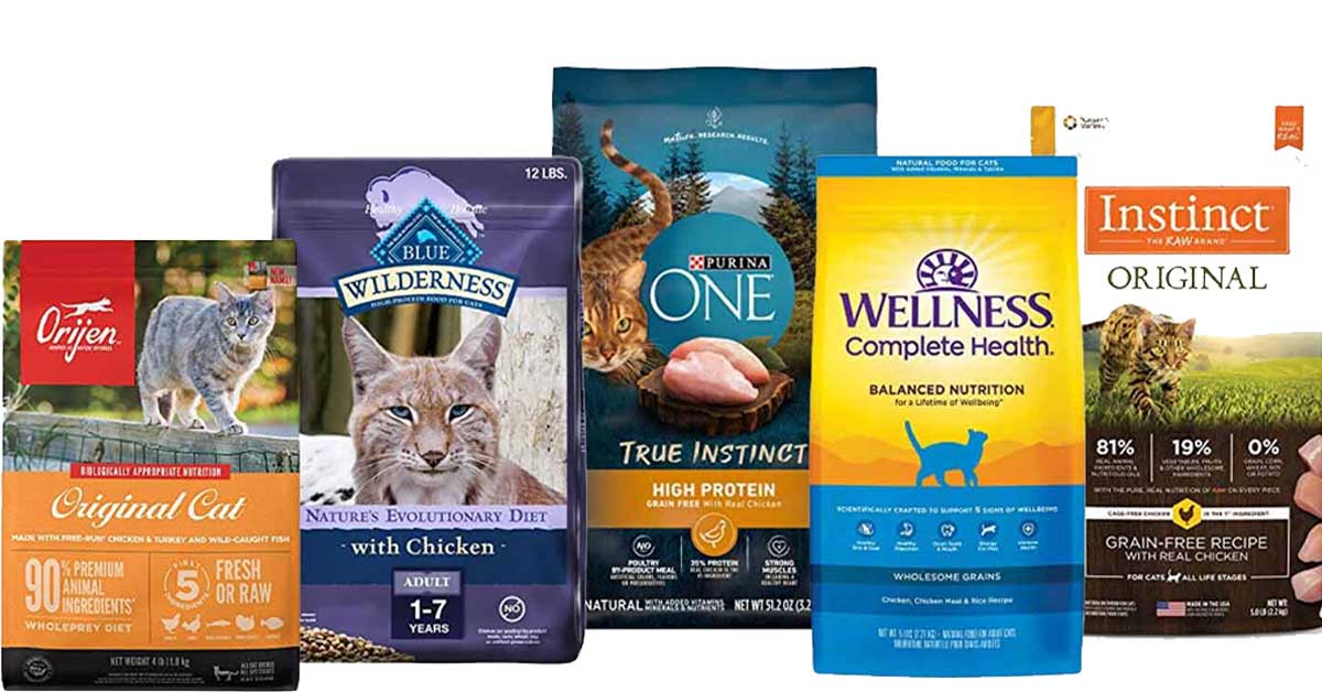 Best Cat Food for Outdoor Cats