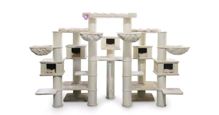 Best Cat Tree for Maine Coon