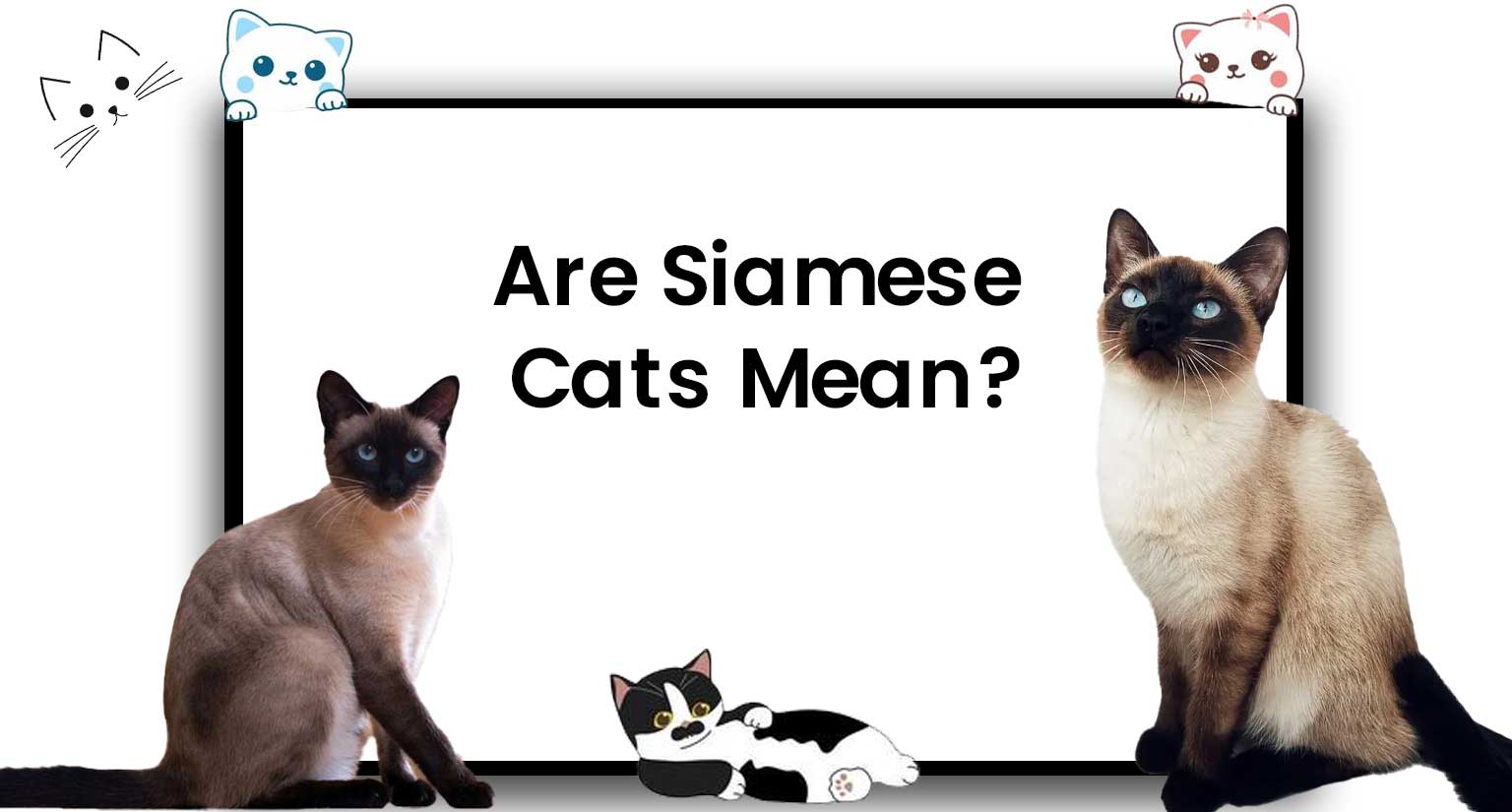 Are siamese cats mean
