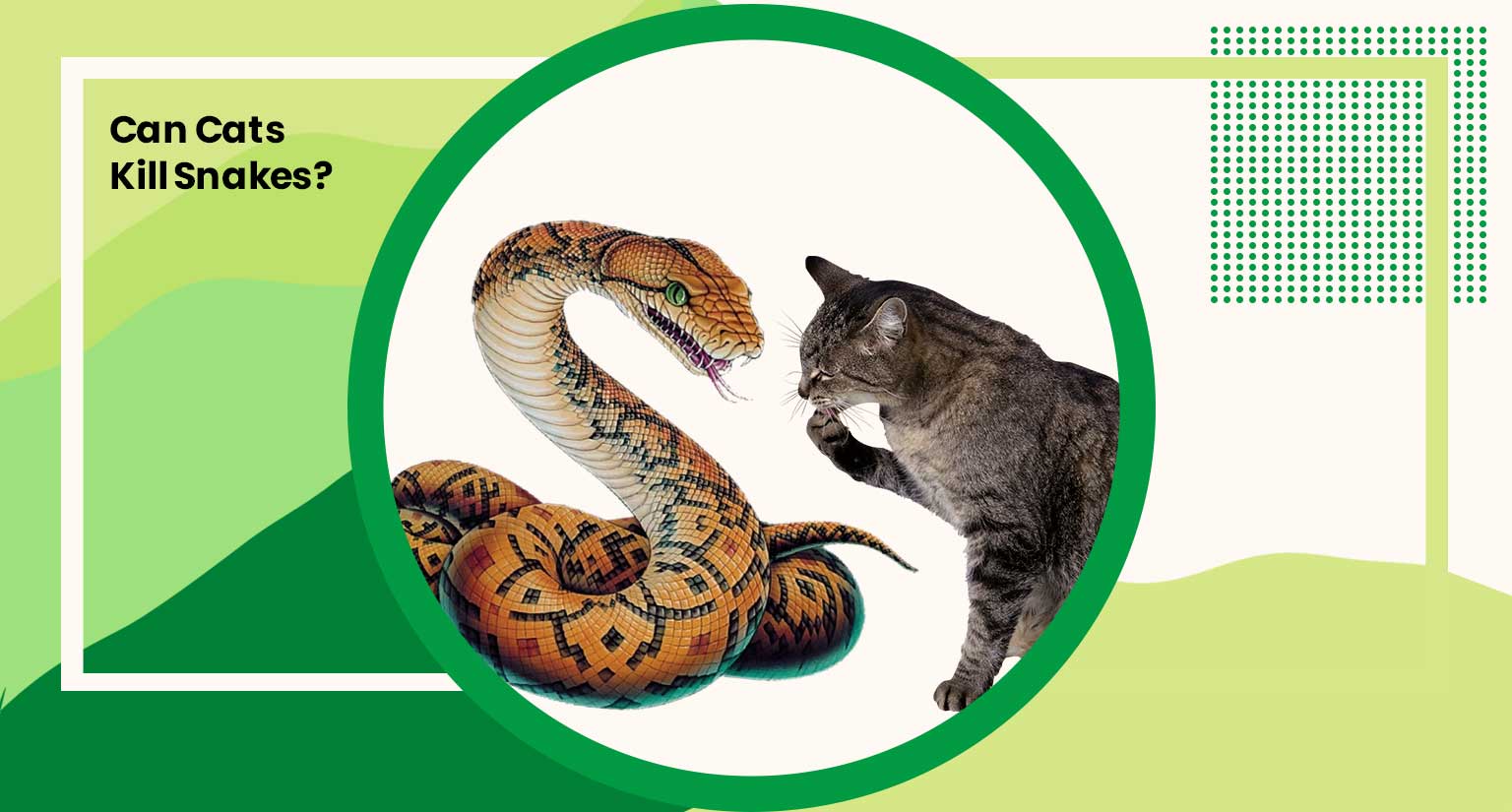Can Cats Kill Snakes