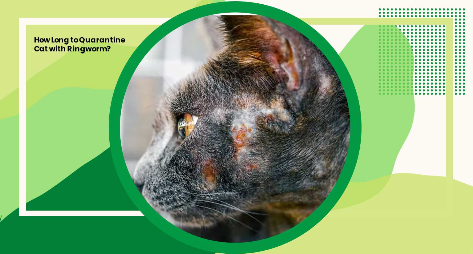 How Long to Quarantine Cat with Ringworm
