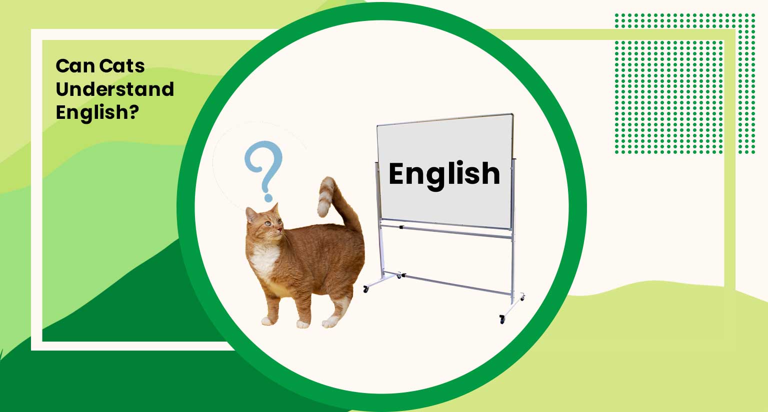 can cats understand english